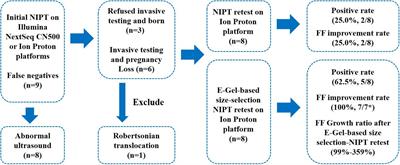 Sequencing Shorter cfDNA Fragments Decreases the False Negative Rate of Non-invasive Prenatal Testing